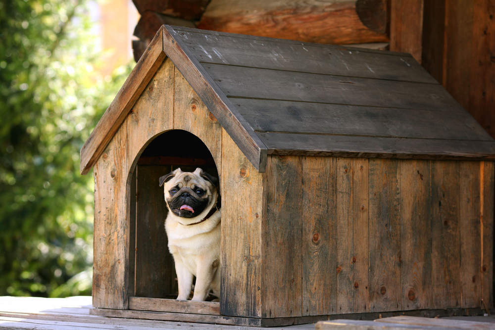 Dog Kennel Dealers