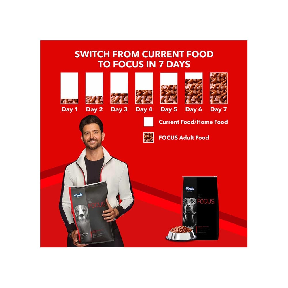 Drools Focus Super Premium Dog Food (Adult) : 1.2 kg