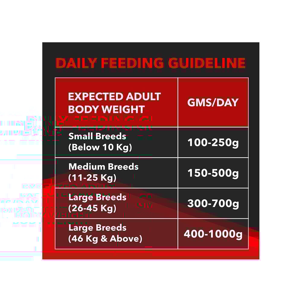 Drools Focus Super Premium Dog Food (Adult) : 1.2 kg