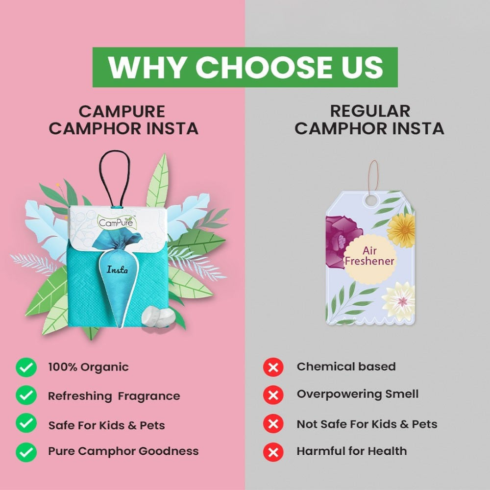 CamPure 100% Organic Camphor Car Freshener Cone - Original, Sandalwood and Lavender : 1 pack (3 x 30 g)
