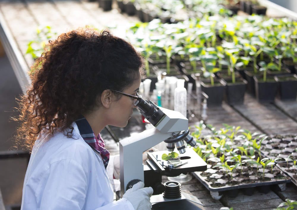 Agricultural Colleges