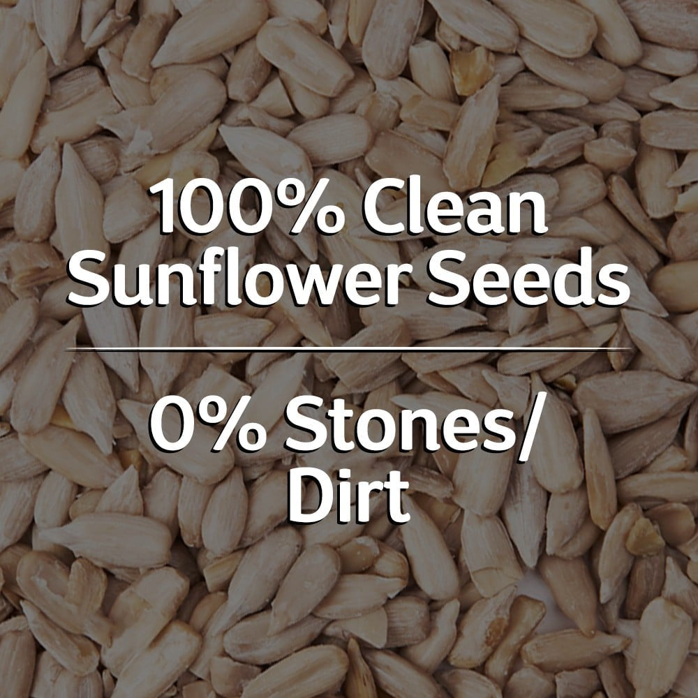 True Elements Raw Sunflower Seeds : 250 g