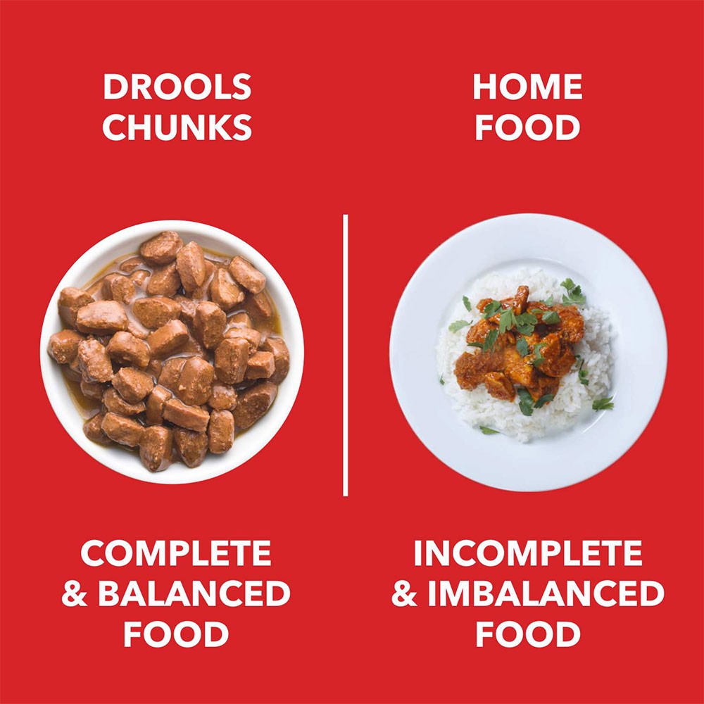 Drools Adult Dog Wet Food (Chicken Liver Chunks in Gravy) : 5 x 150 g + 150 g