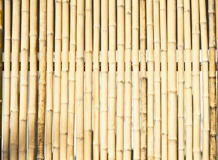 Bamboo Dealers