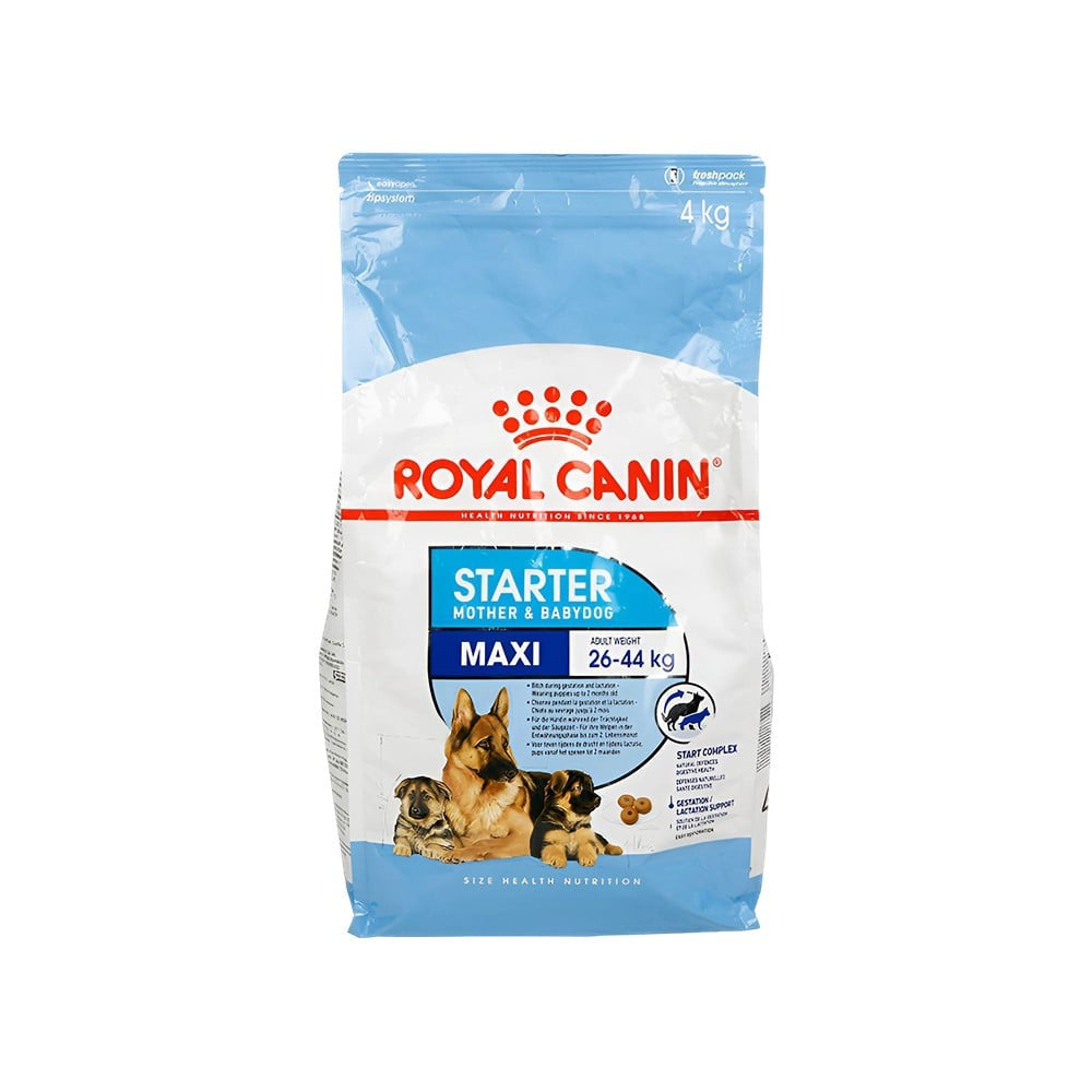 Royal Canin Starter Dog Food (Maxi, 26 to 44 kg Adult Weight) : 4 kg