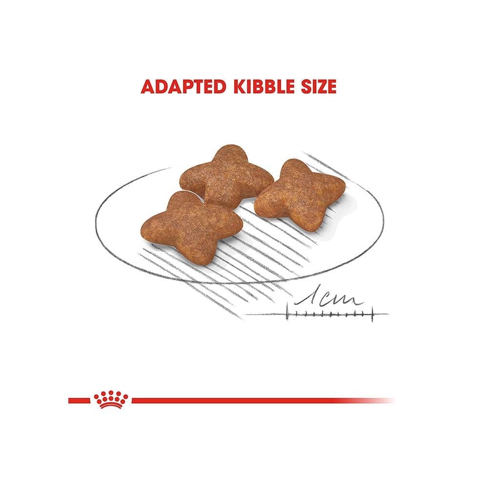 Royal Canin Mini Dry Food Adult : 4 kg