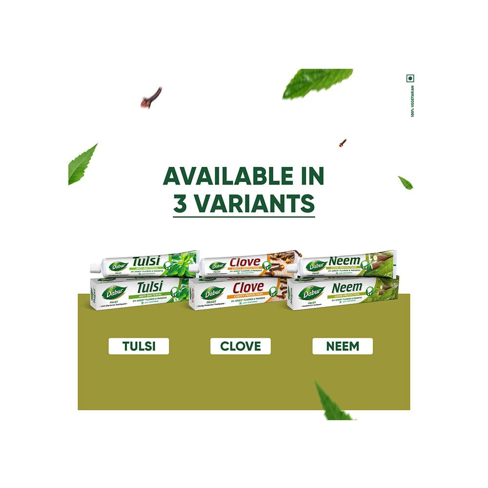 Dabur Neem Germ Protection Herbal Toothpaste - Pack of 2 : 2 x 200 g