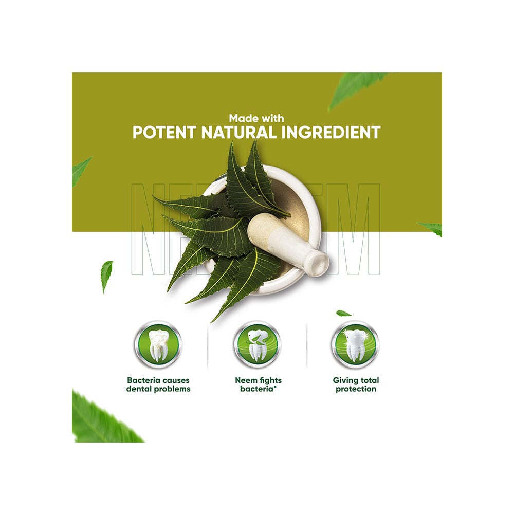 Dabur Neem Germ Protection Herbal Toothpaste - Pack of 2 : 2 x 200 g