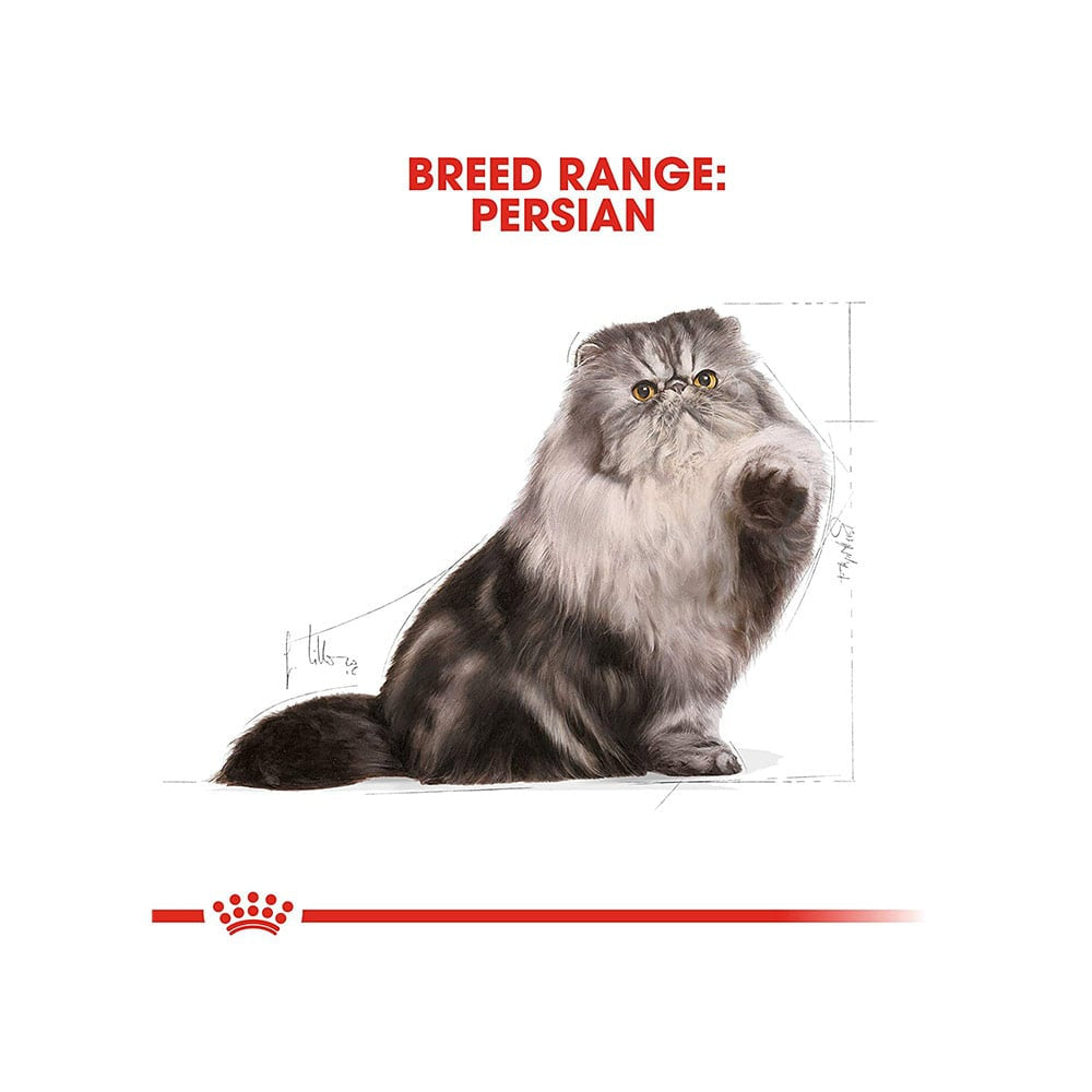 Royal Canin Persian Chicken Pellet Dry Cat Food (Adult 40) : 2 kg