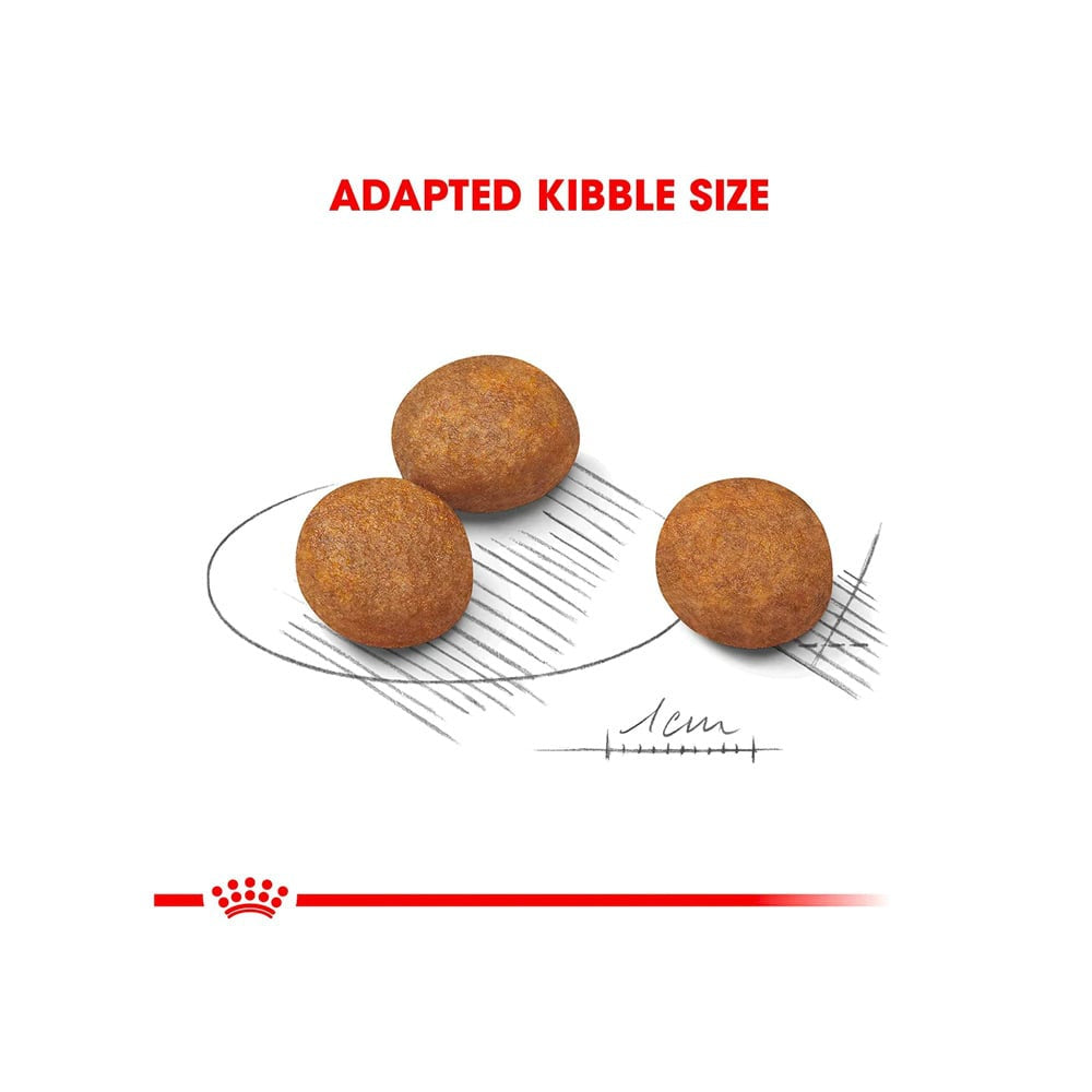 Royal Canin Maxi Puppy Dog Food : 1 kg