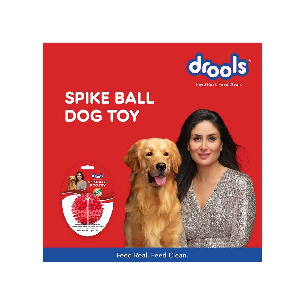 Drools Spike Ball Dog Chew Toy : 1 piece