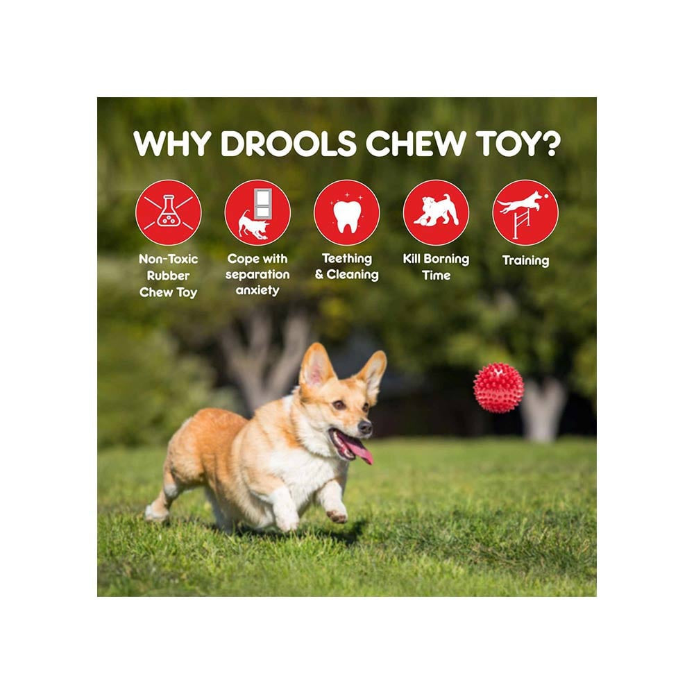 Drools Spike Ball Dog Chew Toy : 1 piece