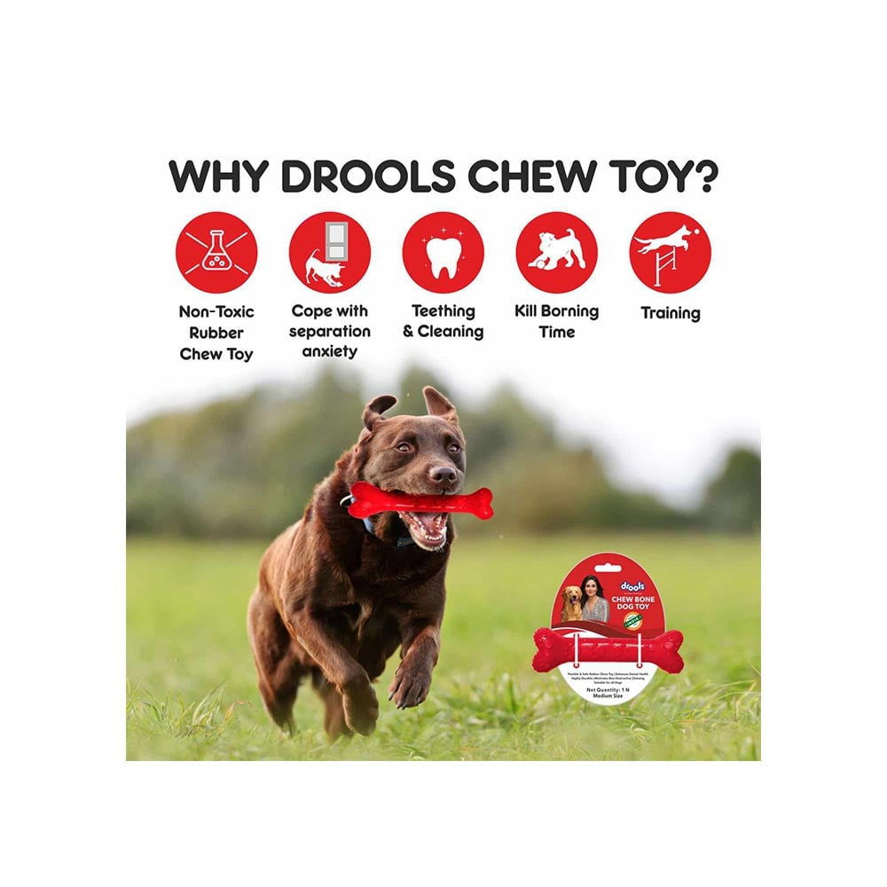 Drools Bone Chew Toy For Dog (Medium, 5 inches) : 1 piece