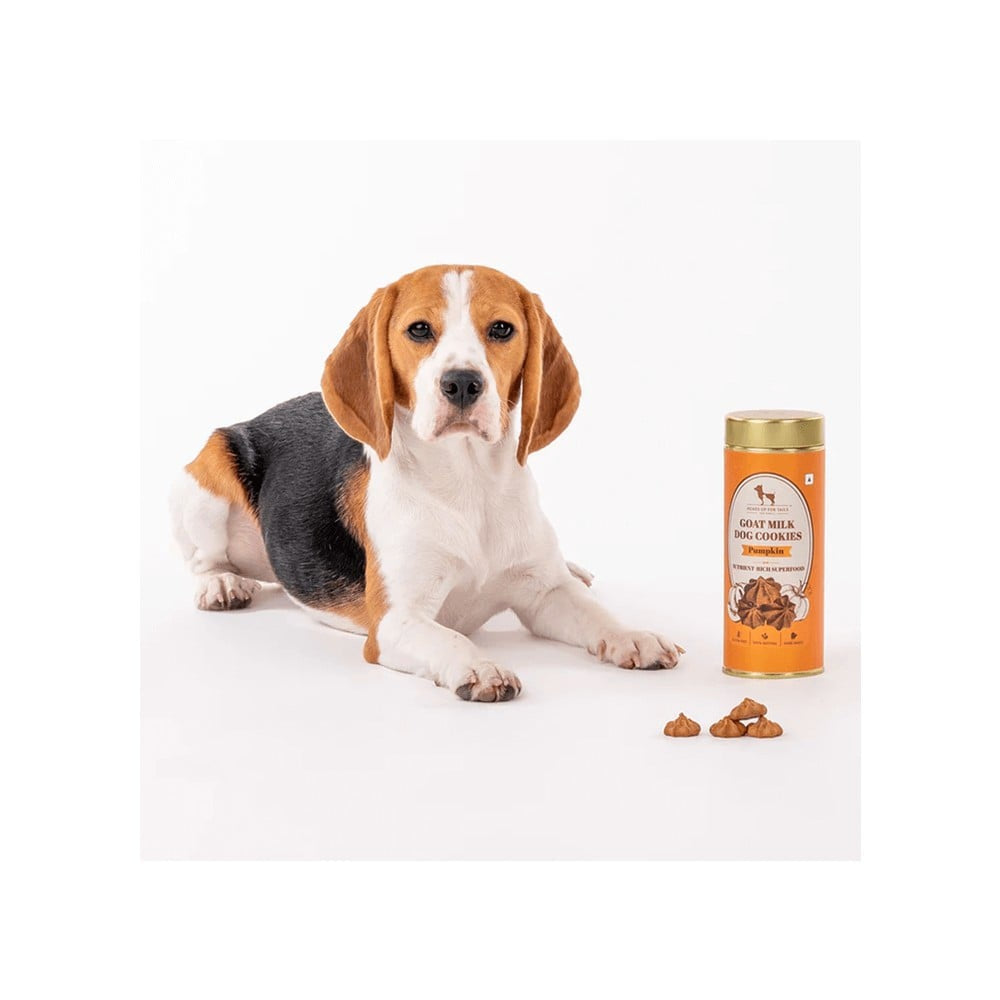 HUFT Pumpkin Goat Milk Premium Dog Cookies : 200 g