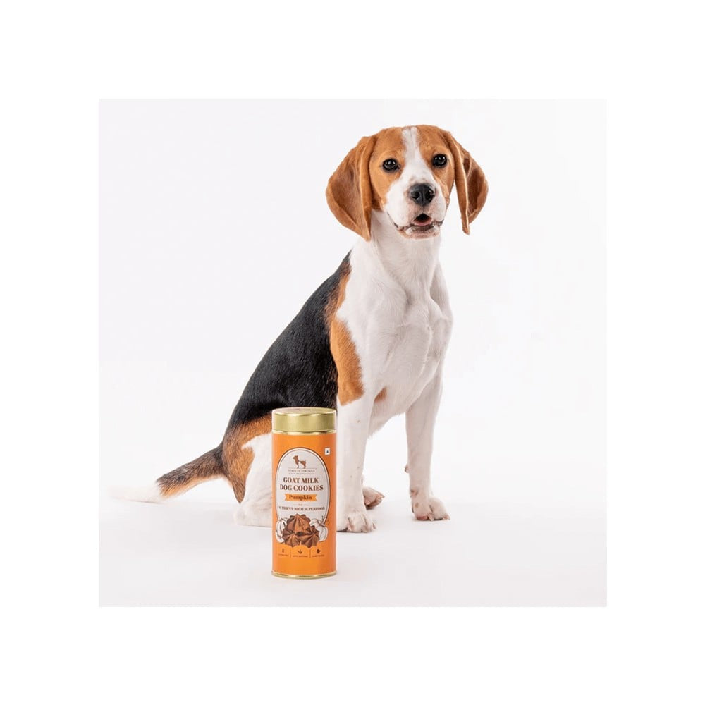 HUFT Pumpkin Goat Milk Premium Dog Cookies : 200 g