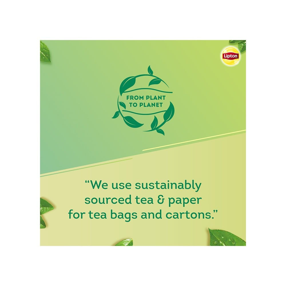 Lipton Clear & Light Green Tea Bags : 1 pack (50 pieces)