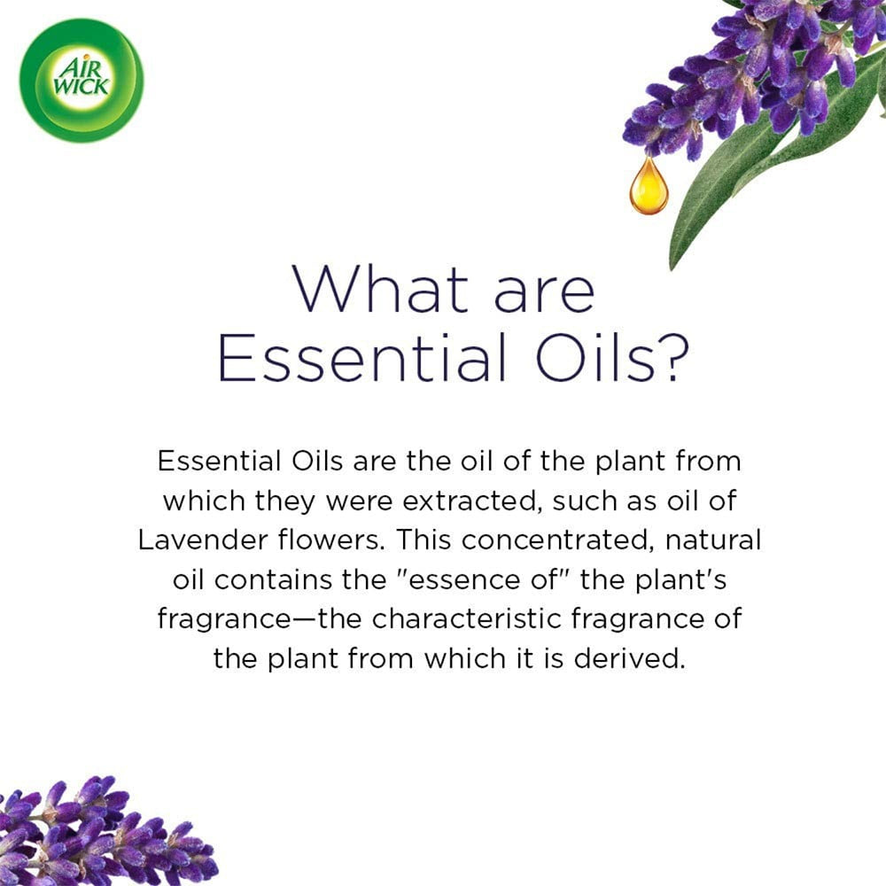 Airwick Essential Automatic Fragrance Mist Diffuser Refill (Relaxing Lavender) : 20 ml