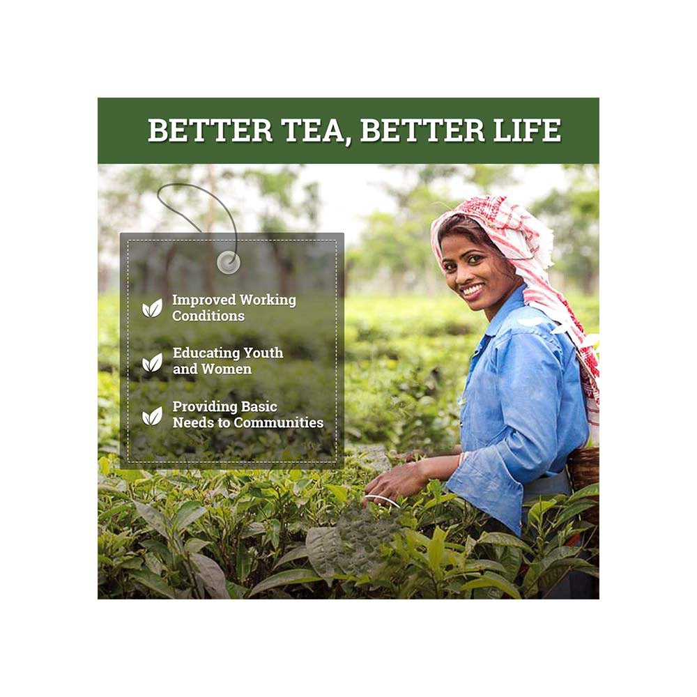 Twinings Mint Green Tea Bags : 25 pieces