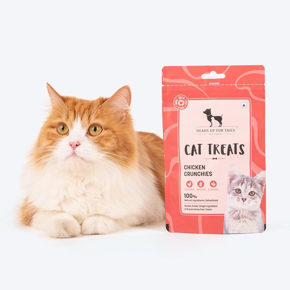 HUFT Chicken Crunchies Crunchy Cat Treat + Mahi Mahi Fish Crunchies Crunchy Cat Treat Combo : 35 g + 35 g