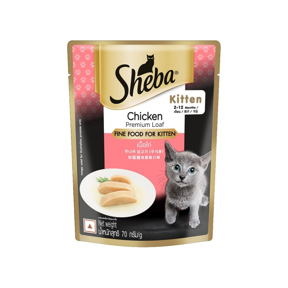Sheba Premium Kitten Wet Wet Kitten Food, Chicken Loaf - Pack of 5 : 5 x 70 g