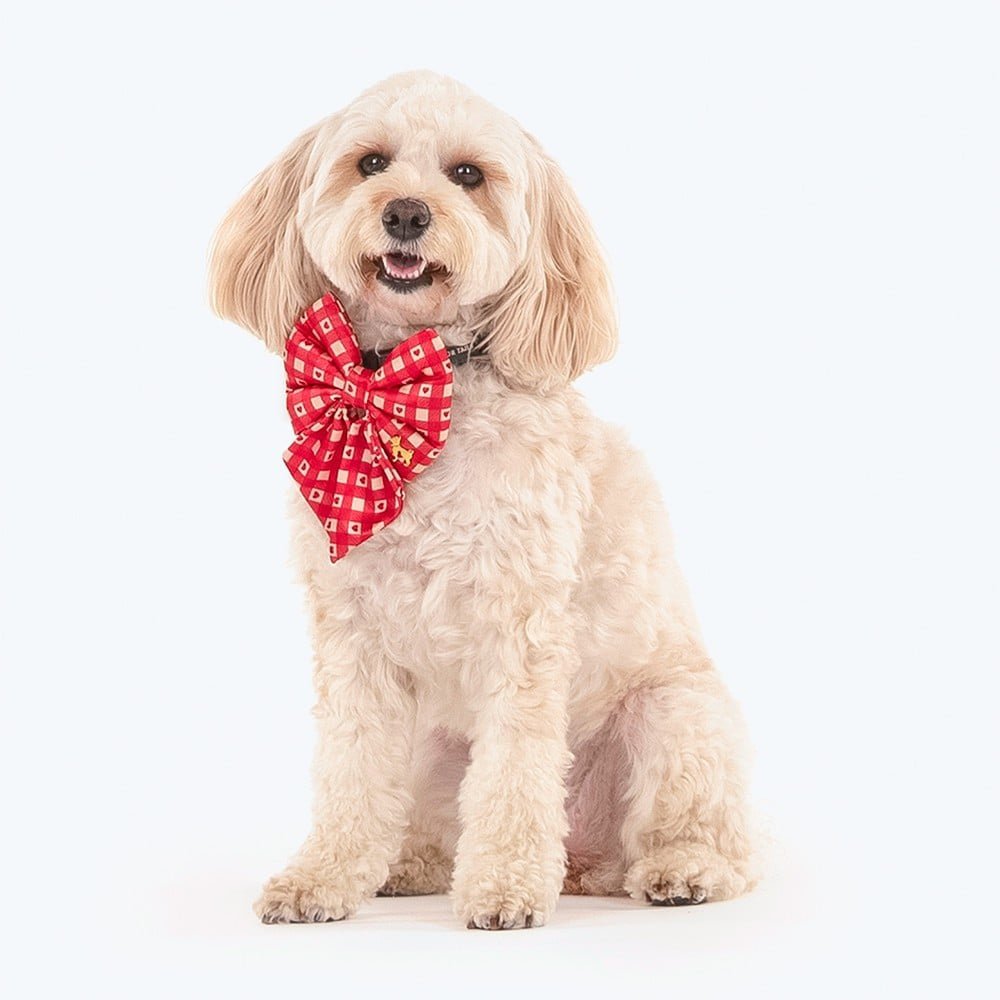 HUFT Sweet Hearts Festive Dog Bowtie (Red) : 1 piece