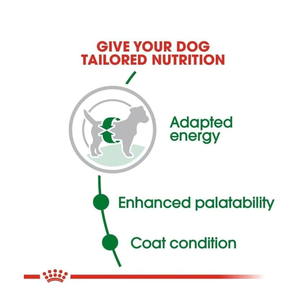 Royal Canin Dog Dry Food : 8 kg