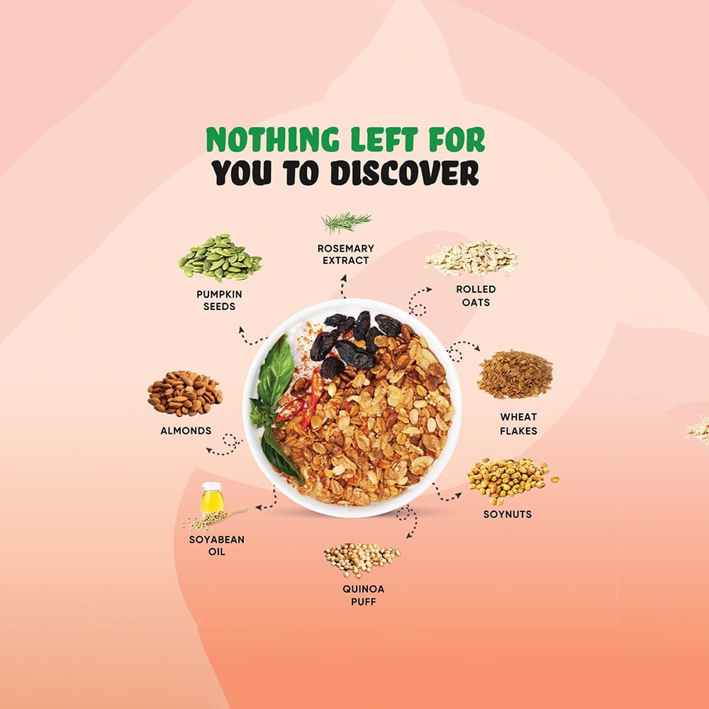True Elements Chatpata Mixture Namkeen : 100 g