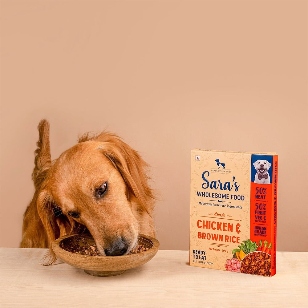 HUFT Sara's Wholesome Dog Food - Chicken & Brown Rice - Pack of 2 : 2 x 300 g