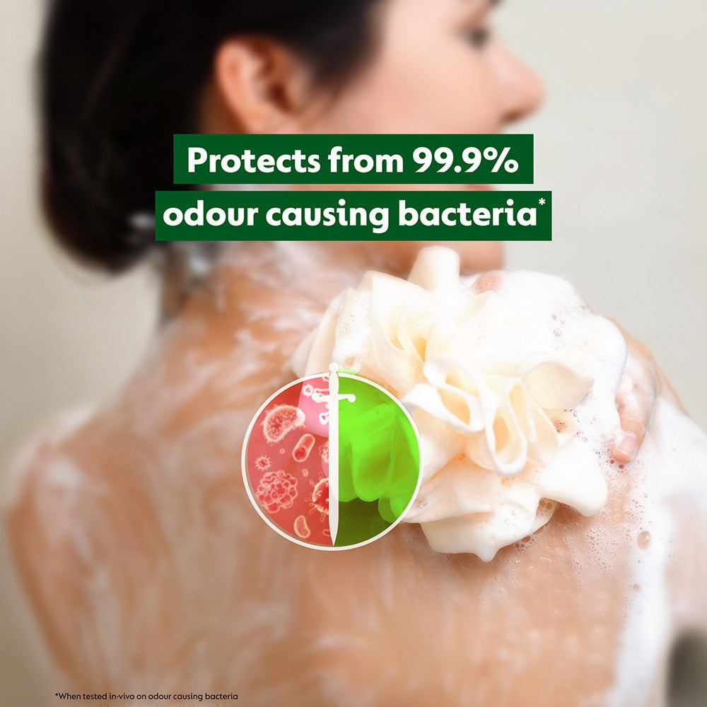 Dettol Lime Fresh Shower Gel : 500 ml
