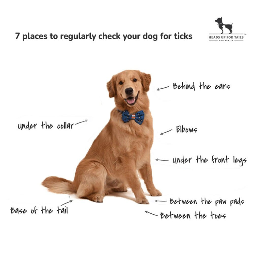 HUFT Flea & Tick Remover Repellent For Dog (Lemongrass & Geranium) : 200 ml