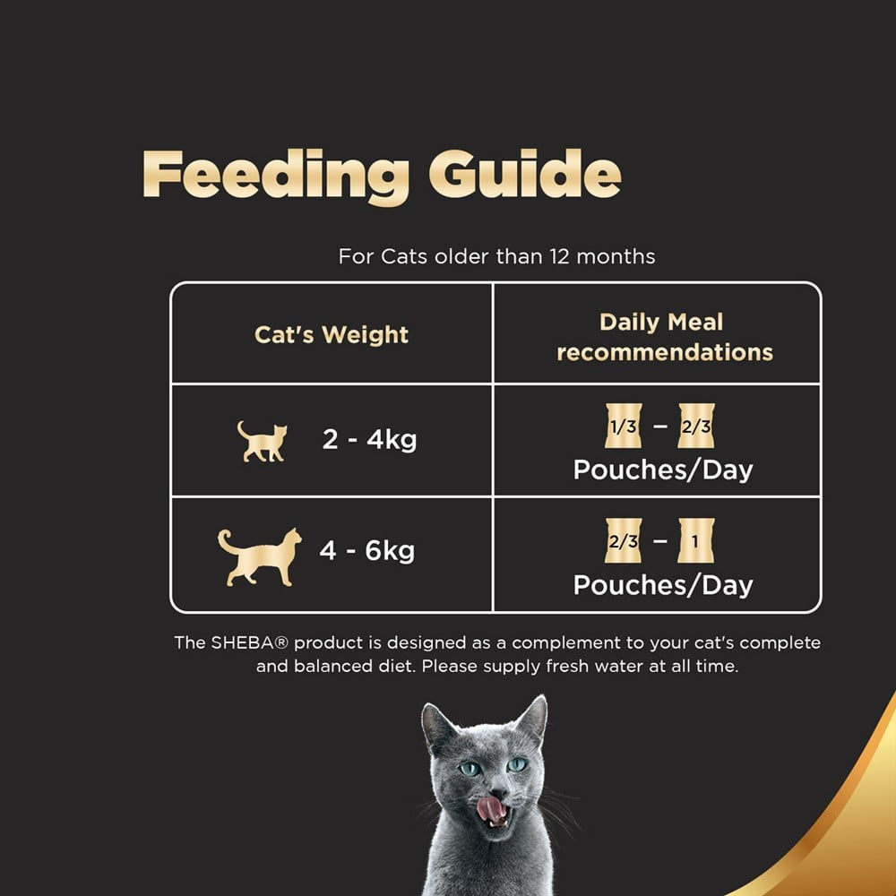 Sheba Wet Cat Food, Tuna Pumpkin & Carrot In Gravy : 70 g
