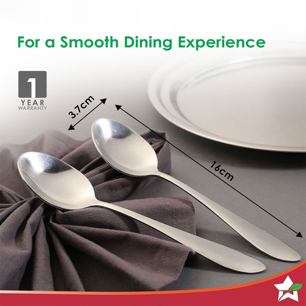 Wonderchef Venice Stainless Steel Spoon Set (6 pcs, Silver) : 1 set (6 pieces)