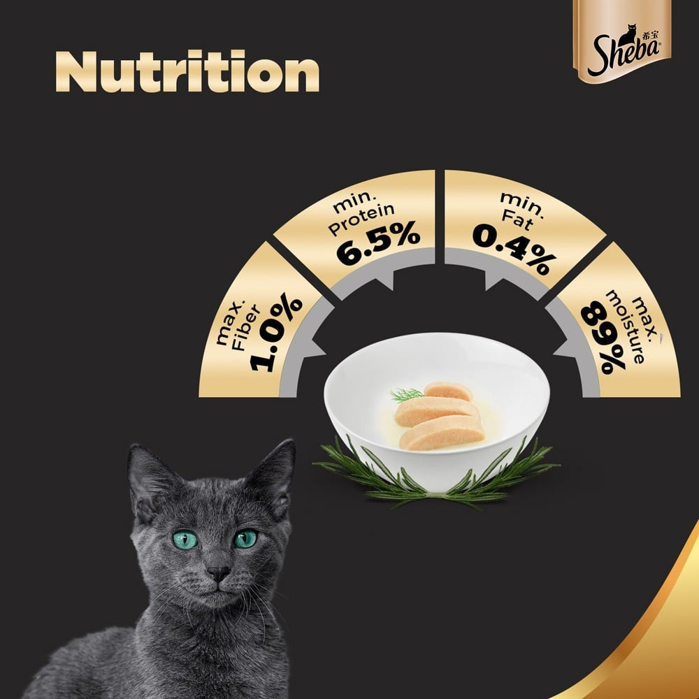 Sheba Premium Kitten Wet Wet Kitten Food, Chicken Loaf - Pack of 5 : 5 x 70 g