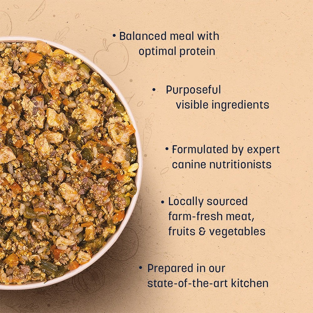 HUFT Sara's Wholesome Dog Food - Chicken & Brown Rice - Pack of 2 : 2 x 300 g
