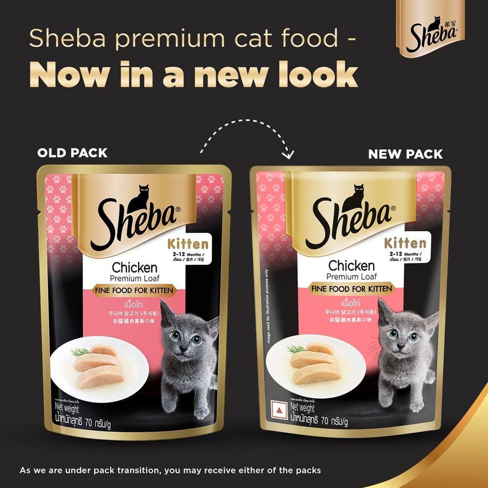Sheba Premium Kitten Wet Wet Kitten Food, Chicken Loaf - Pack of 5 : 5 x 70 g