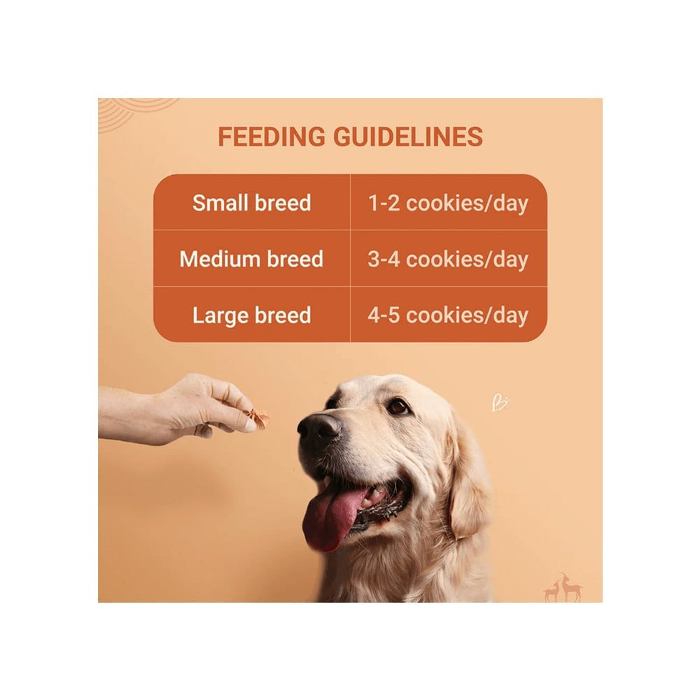 HUFT Pumpkin Goat Milk Premium Dog Cookies - Pack of 2 : 2 x 200 g