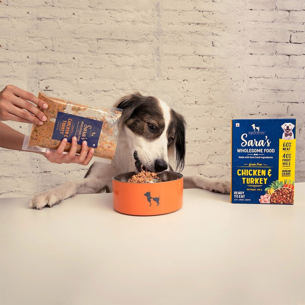 HUFT Sara's Wholesome Chicken & Turkey Dog Food - Pack of 2 : 2 x 300 g