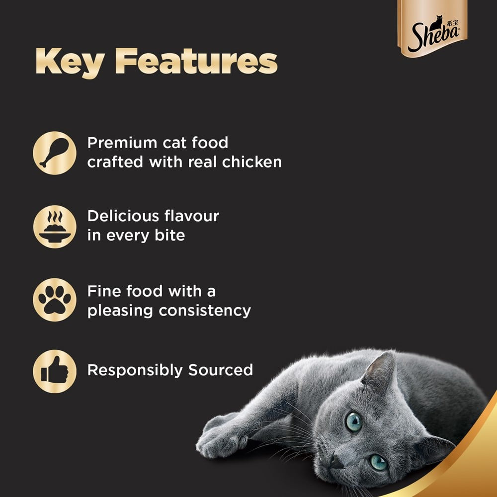 Sheba Premium Kitten Wet Wet Kitten Food, Chicken Loaf - Pack of 5 : 5 x 70 g