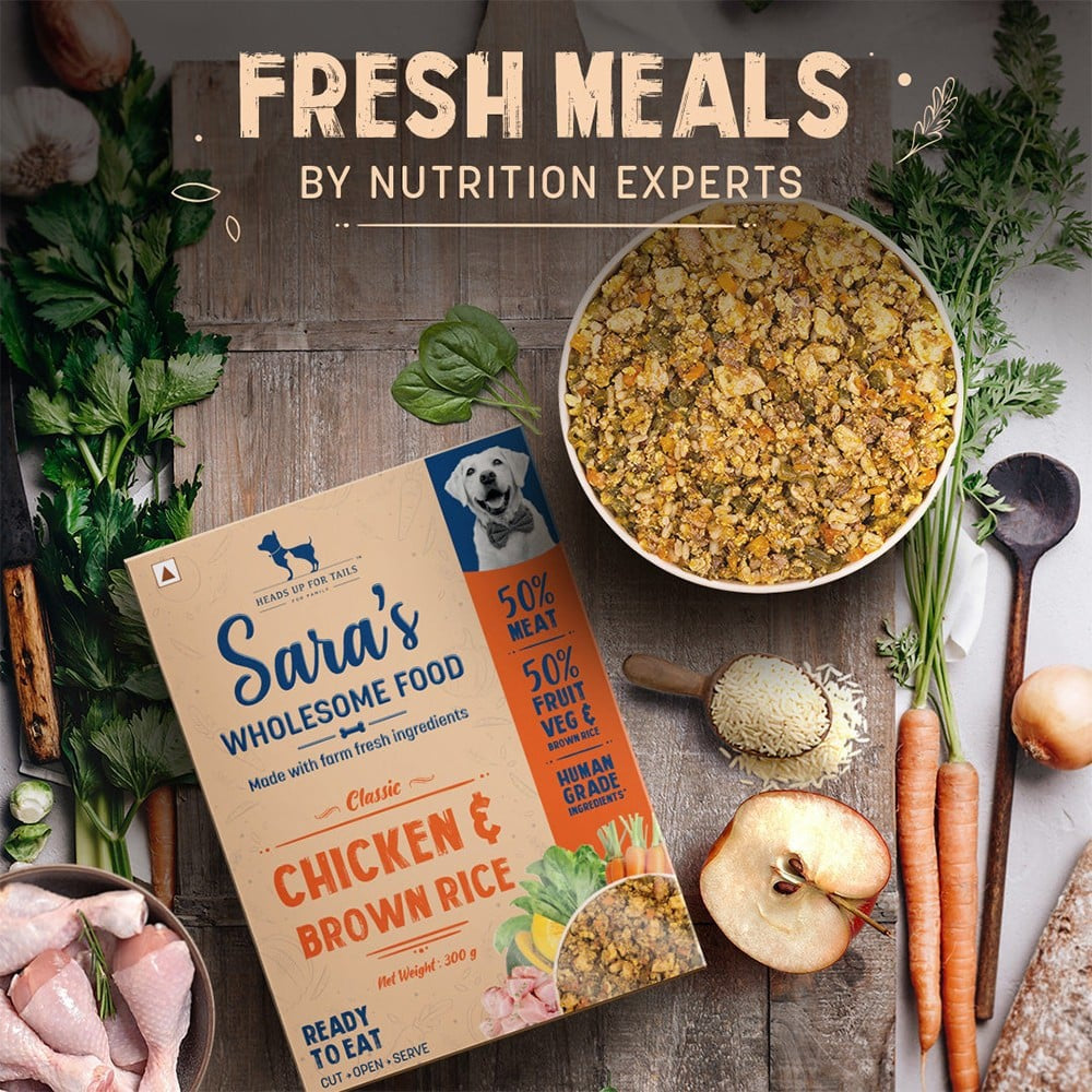 HUFT Sara's Wholesome Dog Food - Chicken & Brown Rice - Pack of 2 : 2 x 300 g