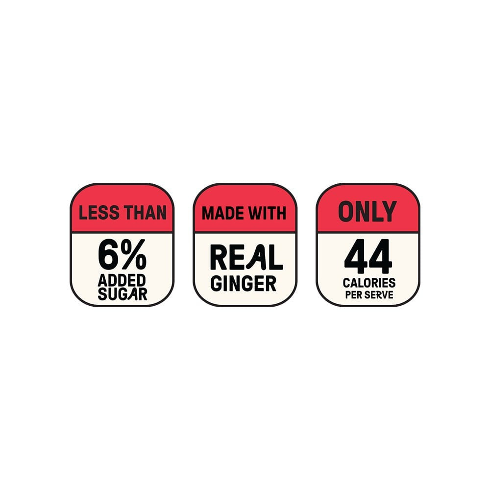 Tipsy Tiger Ginger Ale (Ginger Ale made with Real Ginger) - Pack of 2 : 2 x 250 ml