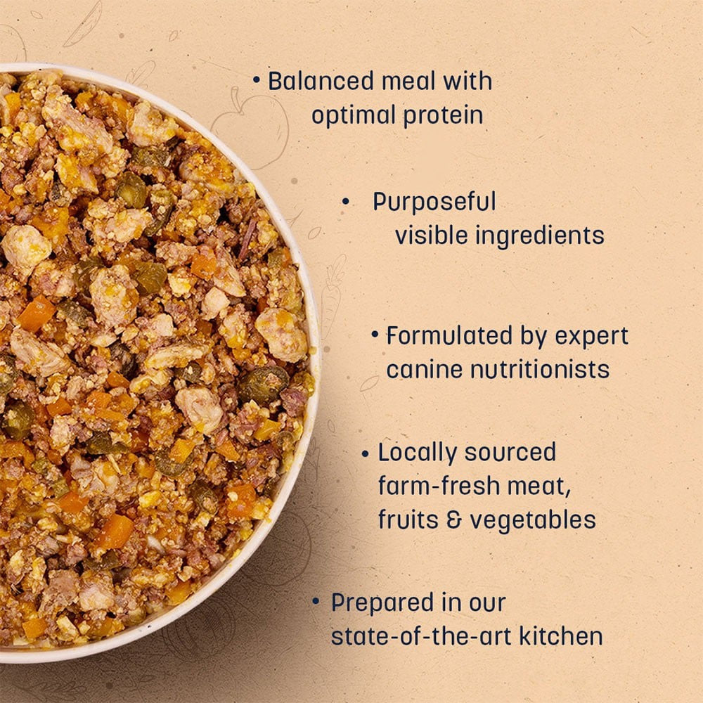 HUFT Sara's Wholesome Chicken & Turkey Dog Food - Pack of 2 : 2 x 300 g