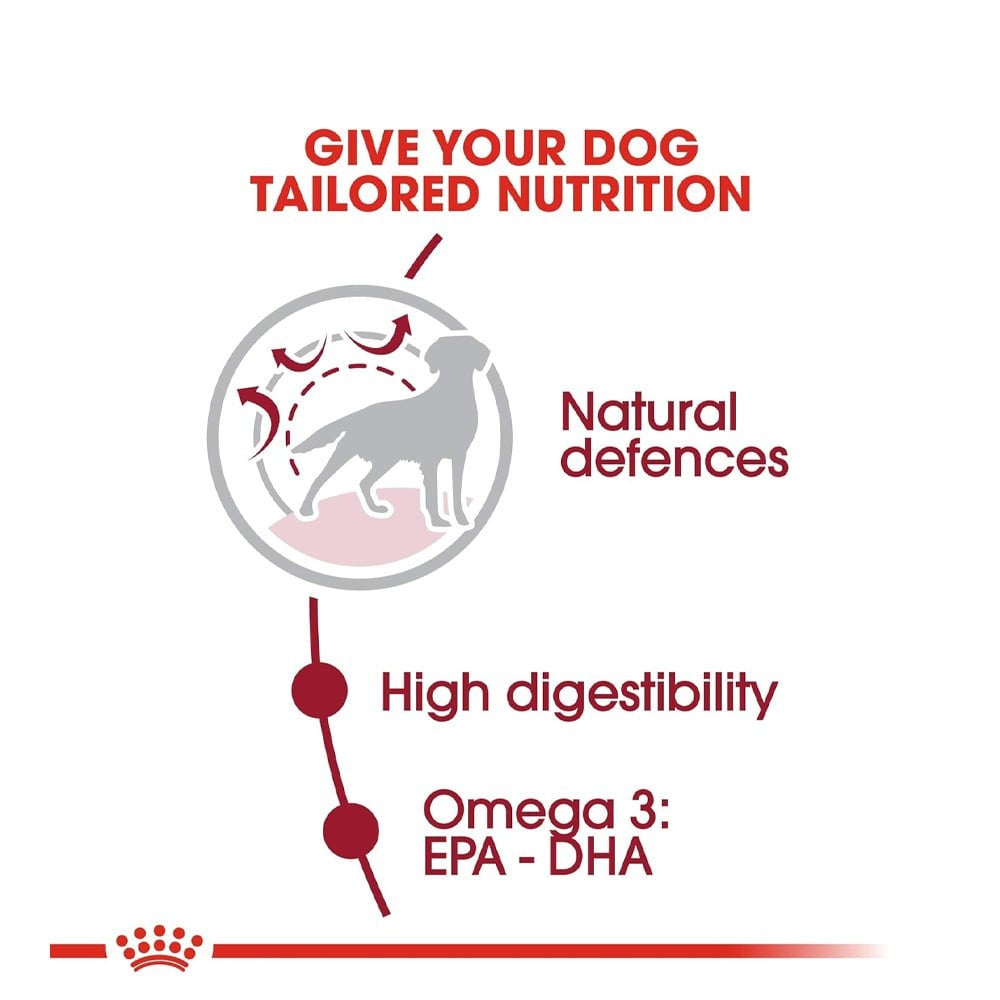 Royal Canin Medium Adult Dog Dry Food : 1 kg