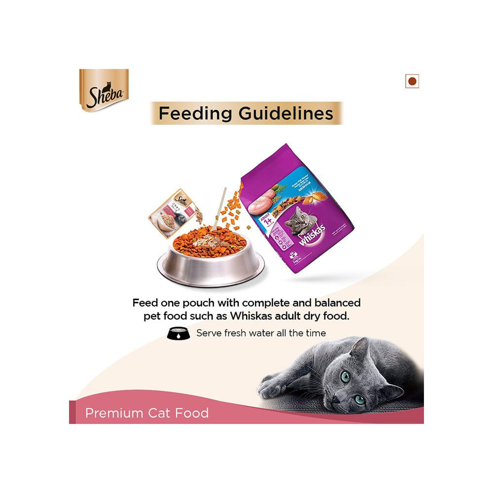 Sheba Rich - Skipjack Salmon in Sasami Wet Cat Food - Pack of 2 : 2 x 12 x 35 g