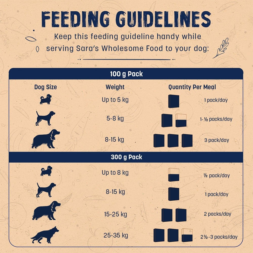 HUFT Sara's Wholesome Chicken & Turkey Dog Food - Pack of 2 : 2 x 300 g