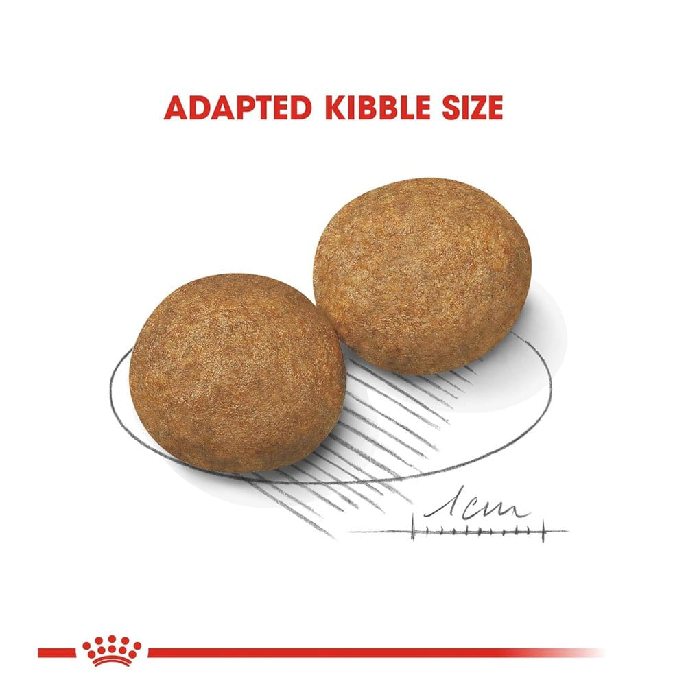 Royal Canin Medium Adult Dog Dry Food : 1 kg