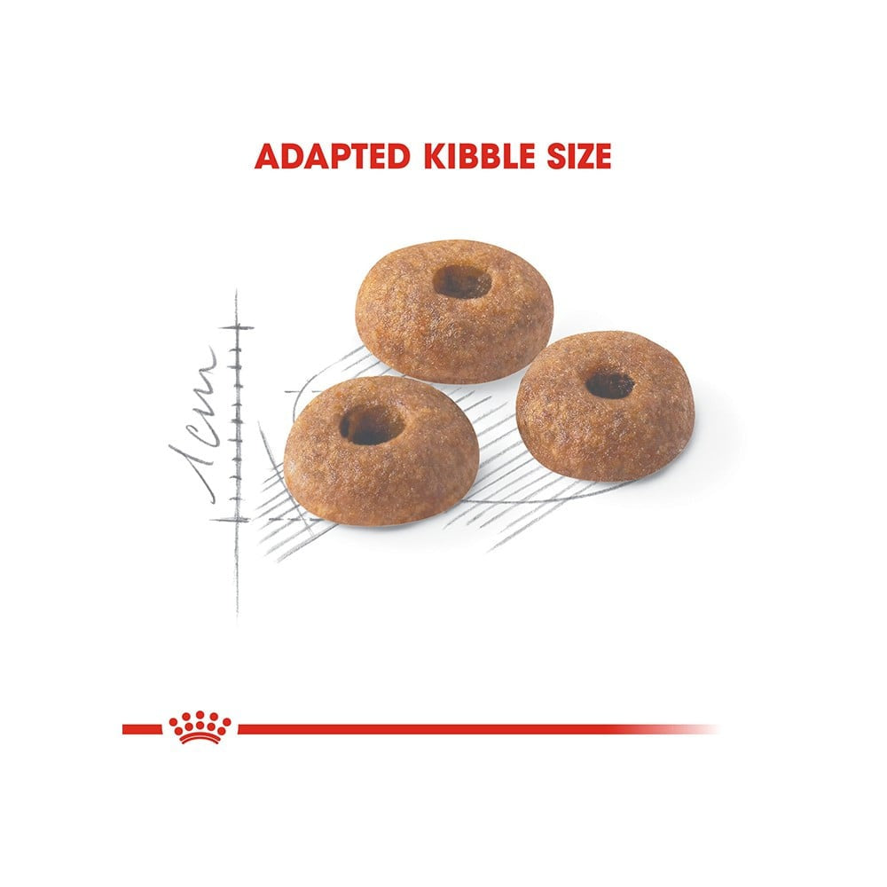 Royal Canin Fit 32 Dry Cat Food : 2 kg