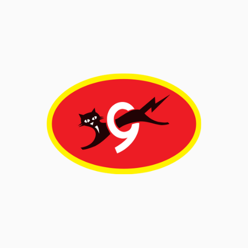 Eveready – Batteries, Lighting & Power Solutions