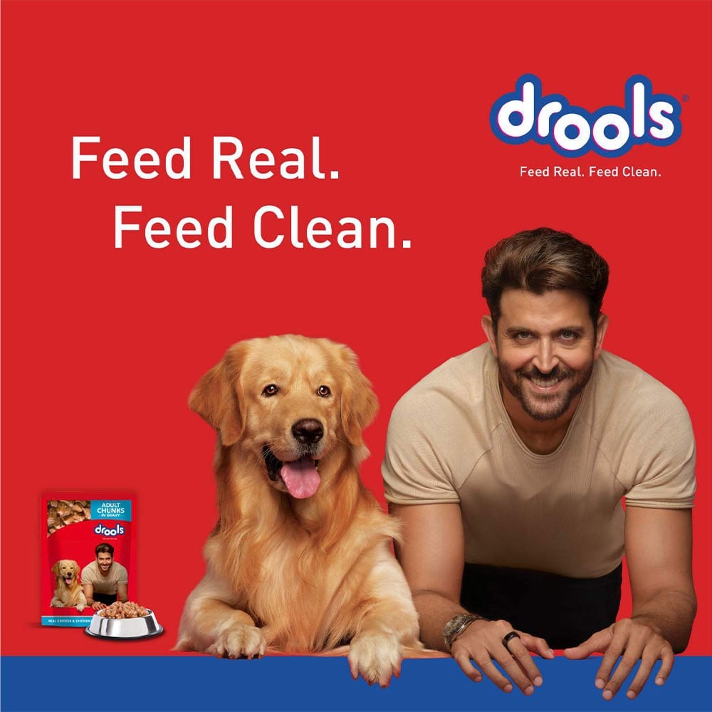 Drools Adult Dog Wet Food (Chicken Liver Chunks in Gravy) : 5 x 150 g + 150 g