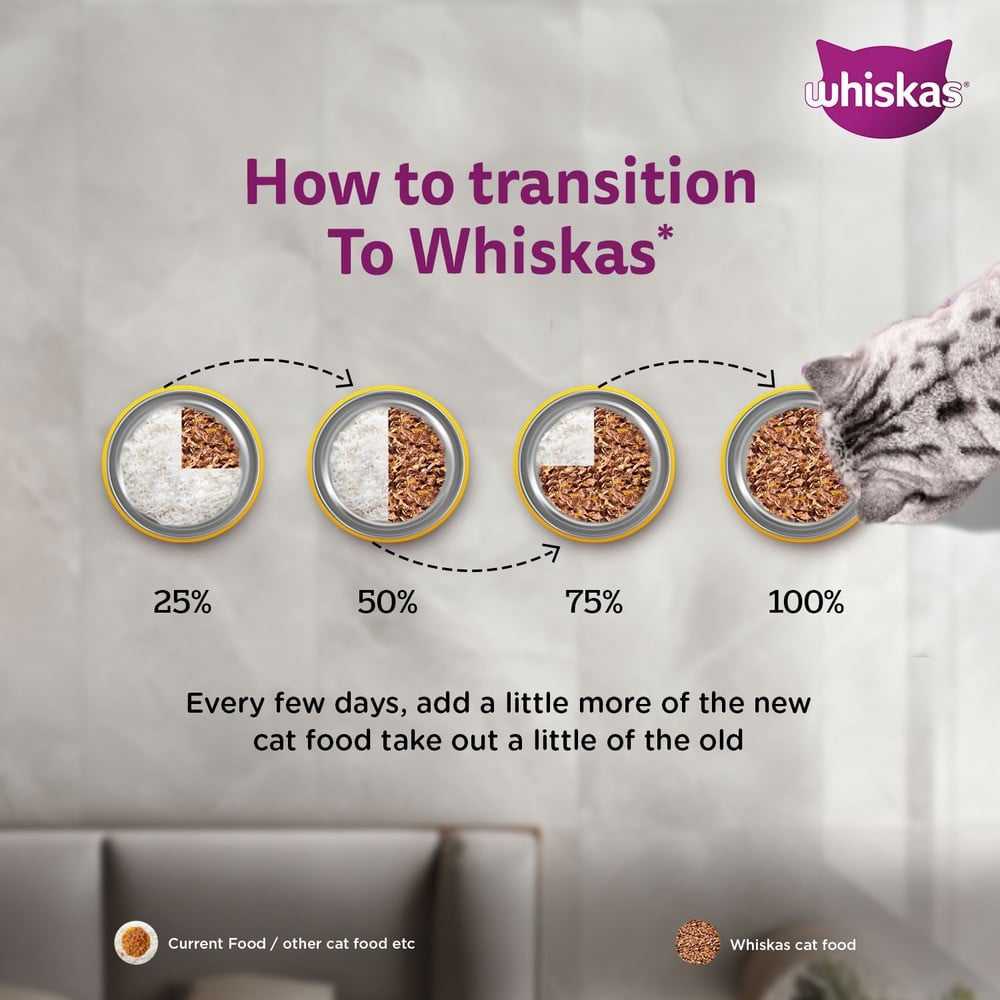 Whiskas Kitten Wet Wet Kitten Food -Chicken in Gravy (2-12 Months) - Pack of 4 : 4 x 80 g