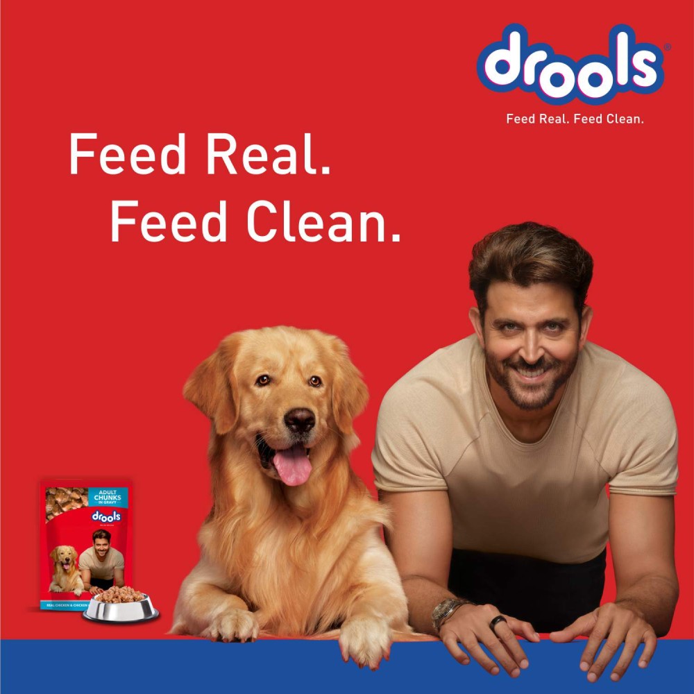 Drools Real Chicken and Chicken Liver Chunks in Gravy Dog Wet Food (Adult) : 150 g